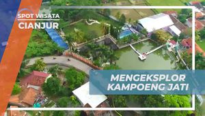  Menjelajahi Keindahan Kampoeng Jati di Cianjur bersama Kegiatan Seru  