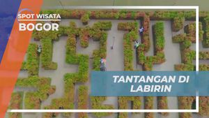 Menjelajahi Labirin Seru dan Menyusuri Rintangan di Bogor untuk Liburan Penuh Tantangan  