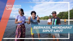 Menangkap Siput Laut dalam Tradisi Nyepok Siyoh di Lampung  