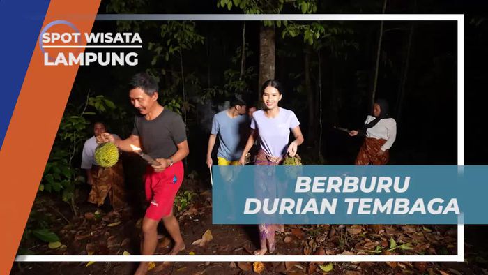 Berburu Durian Tembaga di Lampung bersama Warga dan Selebriti  