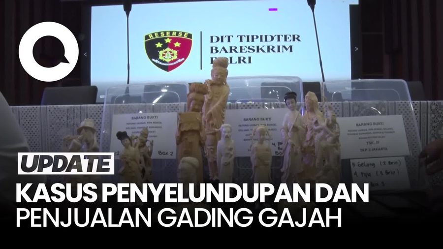 Video: Bareskrim Bongkar Penjualan Gading Gajah Senilai Rp 2,3 Miliar