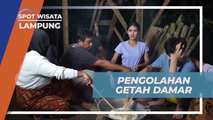 Mengolah Getah Damar di Lampung untuk Membuat Pernis dan Bahan Bakar Obor  