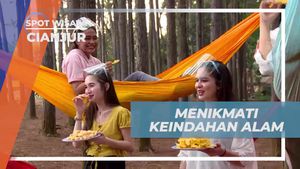 Bersantai di Hammock dan Menikmati Keindahan Alam Cianjur yang Menenangkan  
