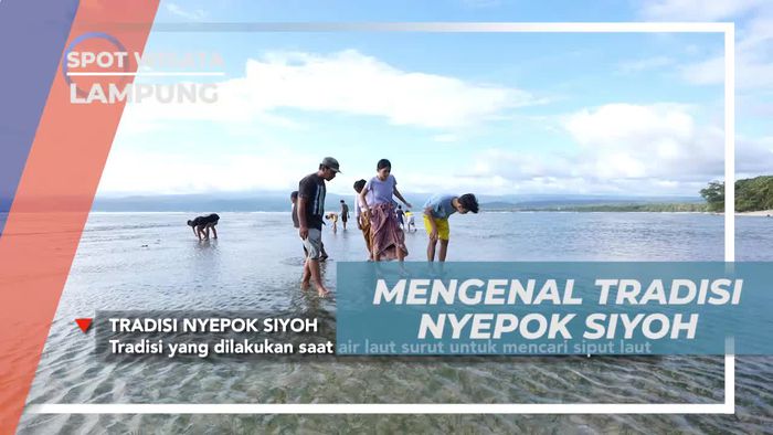 Menyelami Tradisi Nyepok Siyoh untuk Berburu Siput Laut di Lampung  