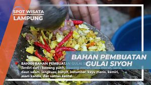 Membuat Gulai Siyoh dari Siput Laut di Lampung dengan Beragam Bumbu Tradisional  