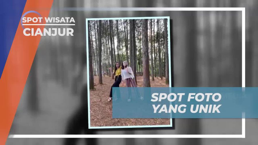 Menikmati Spot Foto Unik dan Menarik di Wana Wisata Pokland Cianjur  