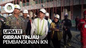 Video: Gaya Gibran Tinjau Istana Wapres Hingga Tanam Pohon di IKN