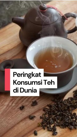  Video Siapa Paling Banyak Minum Teh di Dunia?