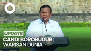 Video: Prabowo Banggakan Candi Borobudur Diakui UNESCO di Depan Macron