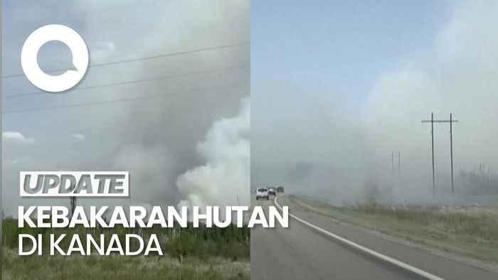 Video: Kebakaran Hutan di Kanada, Pemerintah Umumkan Status Darurat