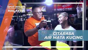 Mencicipi Segarnya Air Mata Kucing Khas Malaysia