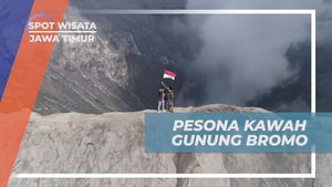 Menikmati Pesona Alam Kawah Gunung Bromo di Jawa Timur