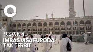 Video: Buntut Visa Haji Furoda Tak Terbit, Travel Rugi Miliaran