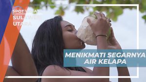 Menikmati Segarnya Air Kelapa di Pulau Lihaga Sulawesi Utara