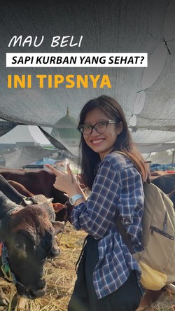 Video: Jangan Asal, Ini Tips Memilih Hewan Kurban yang Sehat