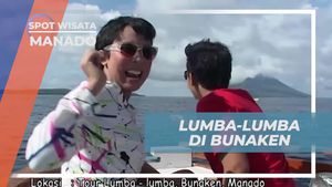 Melihat Lumba-lumba di Bunaken, Manado