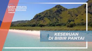 Berlari di Bibir Pantai Pulau Padar, Nusa Tenggara Timur