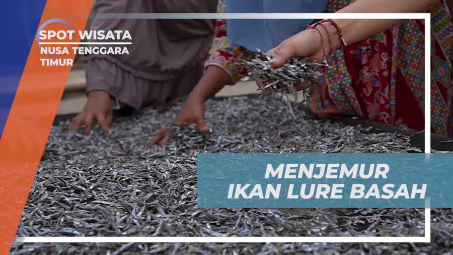 Menjemur Ikan Asin Bersama Warga di Desa Pasir Panjang, Nusa Tenggara Timur