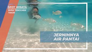 Berenang dan Menyegarkan Diri di Pantai Pulau Padar, Nusa Tenggara Timur