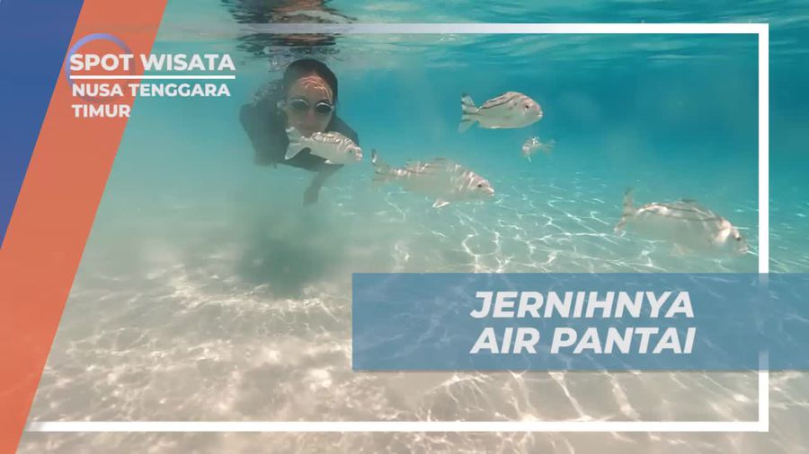 Berenang dan Menyegarkan Diri di Pantai Pulau Padar, Nusa Tenggara Timur
