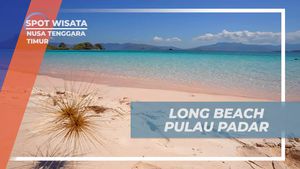 Mengeksplor Keindahan Long Beach di Pulau Padar, Nusa Tenggara Timur