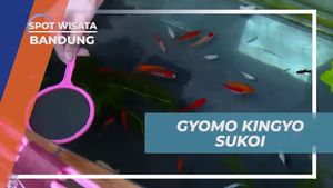 Bermain Tangkap Ikan Ala Jepang di Bandung