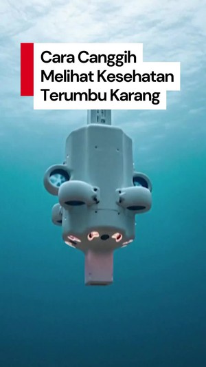 Video: Melihat Drone Canggih yang Dianggap Berharga Peneliti Australia