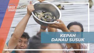 Menemukan Kepah Danau Susuk dan Menjual Hasil Tangkapan di Sumatera Utara