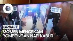 Video Mencekam 19 Napi Lapas Nabire Kabur Sambil Serang Petugas Pakai Parang