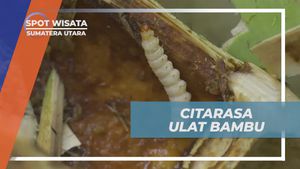 Mencicipi Ulat Bambu Kaya Protein di Desa Lingga Sumatera Utara