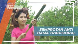 Membuat Semprotan Anti Hama Tradisional dari Bahan Alam di Desa Lingga, Sumatera Utara