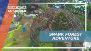 Melanjutkan Petualangan di Spark Forest Adventure dan Menikmati Bird Park Sukabumi