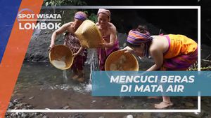 Melestarikan Tradisi Mencuci Beras di Mata Air Desa Bayan Lombok