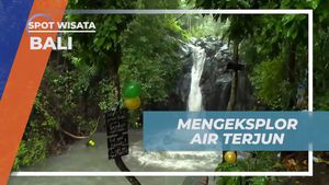 Mengeksplor Keindahan Air Terjun di Bali