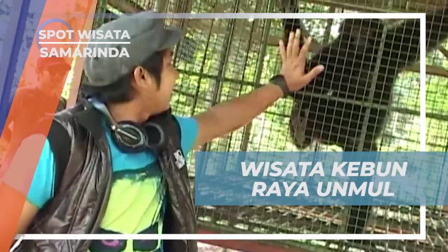 Menjelajahi Kebun Raya Unmul dan Binatang Buas di Samarinda