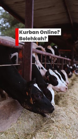 Video: Kurban Online Memang Bisa? Ini Hukum dalam Islam