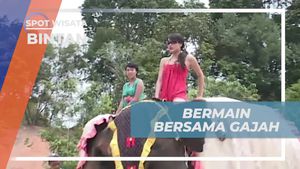 Bermain dan Menunggang Gajah di Jumbo Park Bintan