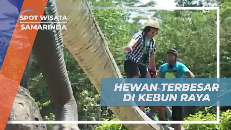 Naik Patung Dinosaurus Terbesar di Kebun Raya Samarinda