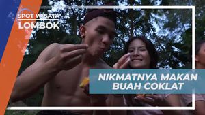 Menikmati Makan Buah Coklat di Ladang Hijau Desa Bayan, Lombok