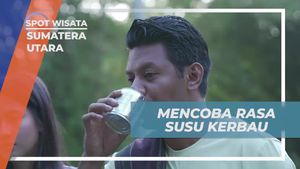Mencicipi Rasa Susu Kerbau Asli Desa Salaon Sumatera Utara
