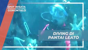 Menyelam dan Menikmati Keindahan Bawah Laut di Pantai Leato Gorontalo