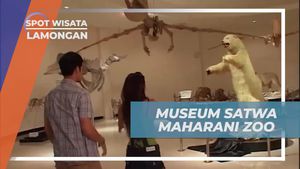 Menyelami Koleksi Museum Satwa Maharani Zoo Lamongan