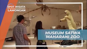 Menyelami Koleksi Museum Satwa Maharani Zoo Lamongan