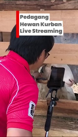 Video: Pedagang Hewan Kurban di Bandung Jualan Lewat Live Streaming