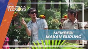 Memberi Makan Burung di Maharani Zoo Lamongan