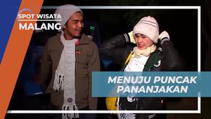 Berjalan Menapaki Puncak Pananjakan Malang