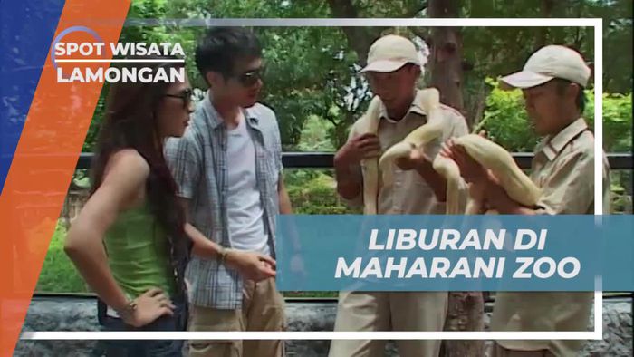 Menjelajahi Satwa di Maharani Zoo Lamongan