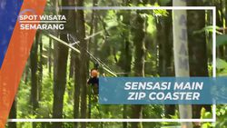 Memacu Adrenalin dengan Zip Coaster di Kopeng Treetop Semarang
