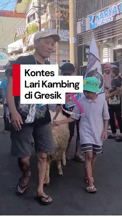 Video: Kontes Lari Kambing, Tradisi Unik Gresik di Momen Idul Adha