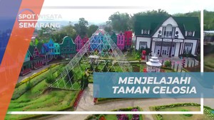 Menjelajahi Keindahan Taman Celosia di Semarang